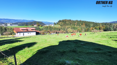 Haus-Bilder